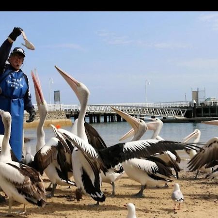 Relax In San Remo Pets Welcome ภายนอก รูปภาพ